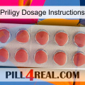 Priligy Dosage Instructions 18